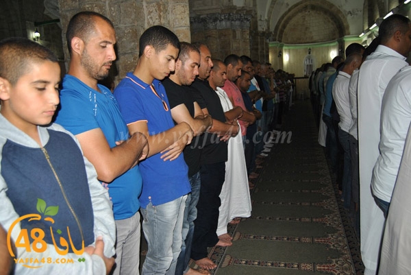 tarawe7 ramlaj (37).JPG